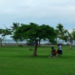 image-fiji (2)