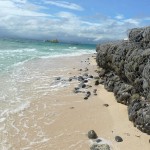 image-fiji (5)