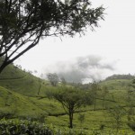 image-srilanka-3